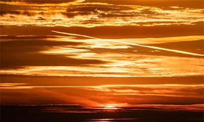 丁丑日柱是坐墓还是坐财库？丁丑日柱看配偶