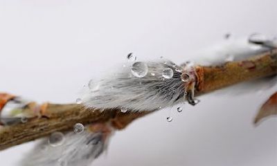 2022年农历七月十三日子适不适合寺庙祈福？