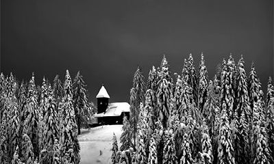 三命通会 乙亥日柱不同时辰命运解析