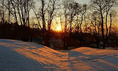 丙寅日出生的人的命运，丙寅日柱的男女命精论