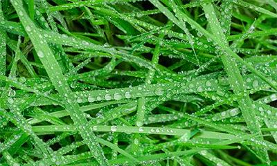 2022年丙寅日是哪一天？丙寅日柱人的性格命运