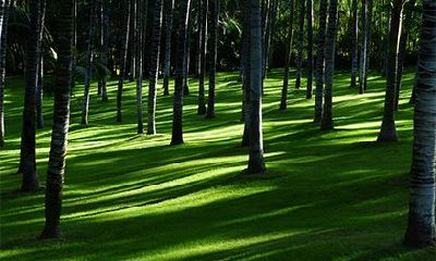 甲戌五行属什么命？甲戌年是哪一年？