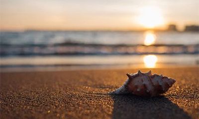 甲木遇什么地支大富大贵？甲木富贵八字特点