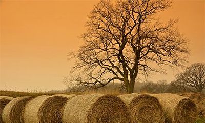 甲戌日算不算日坐财库？日坐财库的所有日柱