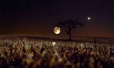 甲戌日坐财库为啥还穷？甲戌日柱三命通会论