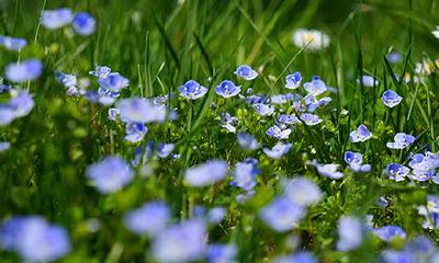 甲戌日生人都是残败人，甲戌日出生的人是什么命？