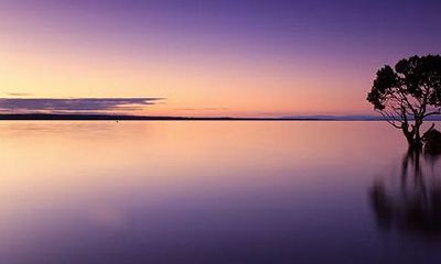 乙丑日柱女命很差吗？乙丑日柱女命命运解析