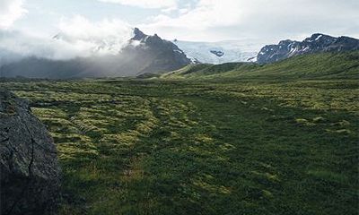乙丑日柱婚姻为何难成？乙丑日适合的婚配日柱