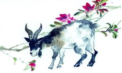生肖羊一生走运，但需要记住一个字