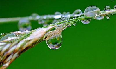 2022年农历十二月二十三日可不可以出行？