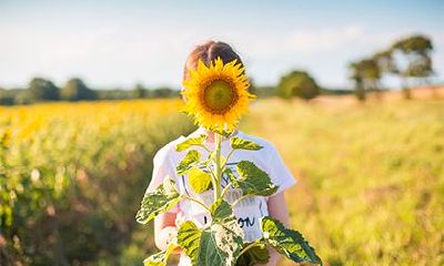 女命寡宿的化解方法，女命带寡宿是不是嫁不出去了？