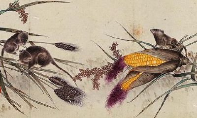 十二生肖生肖运势，怎样才可以旺运