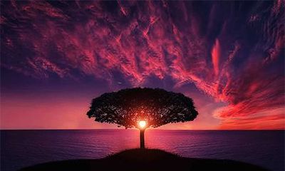 寡宿在父母宫是什么意思？代表什么？