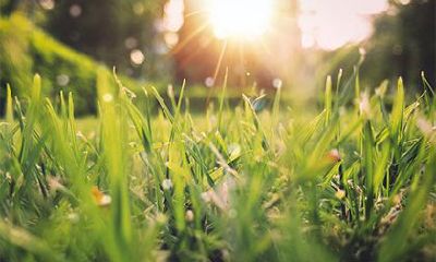 最有福的3个出生吉日，最有权力的农历出生日