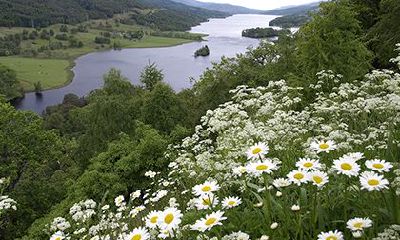 天生皇帝命的六大吉日，哪天出生福禄寿全？