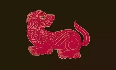 十二生肖智力排名：属猴的排行第二，第一名沒有异议