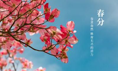 2022虎年春分可以乔迁新家吗？搬家要注意什么？