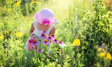 杨姓女孩名字2023年4月13日出生的