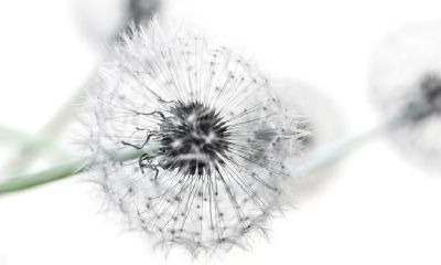 当射手座参加了感情，多少开心泪就有多少