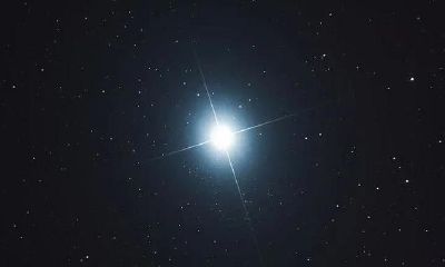 紫微斗数手记：廉贞星的特点