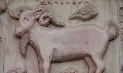 生肖大师：“十羊九福全”才是生肖羊的正解