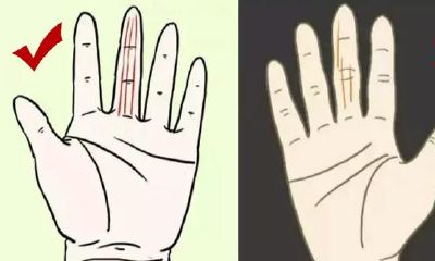 金三银四，让掌纹对你说，究竟哪一个领域最合适你！