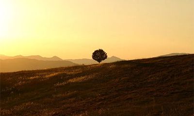 2022年农历十二月初九这一天适宜祈福吗