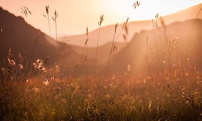 2022虎年农历十二月初八日可以祈福吗