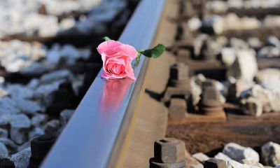 属牛人和属鸡人2022年能否领证结婚，婚姻生活如何？