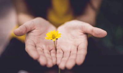 断掌纹的女人克父母吗？女人断掌过房养是啥意思？