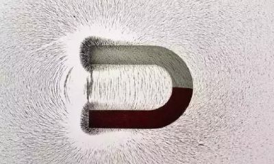 人的好运气和财气，到底来自哪里？