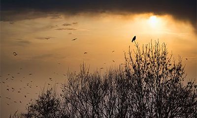 农历十一月适合去哪里旅游？2022年农历十一月出行吉日