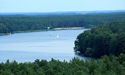 女人长川字纹有什么不好？女人什么手相是富贵命？