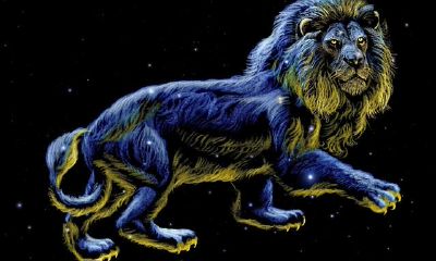 把握住狮子座心的方式