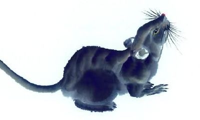 属相鼠的工作运势