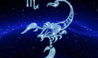 属相虎的最好生肖爱人及相匹配星座性情