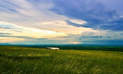 2022年农历十二月初八是不是出行的好日子？