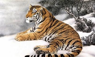 属虎人运程很好，工作最厉害