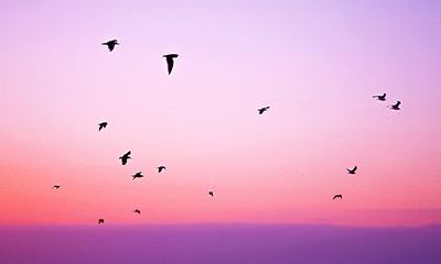 八字年份对照表，生辰八字月份对照表