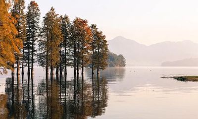 八字年柱神煞带将星是什么意思？八字将星的查法