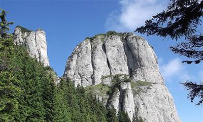 女命上等命格，上等八字富贵女命有什么特点？