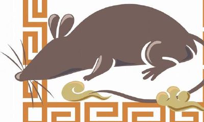 属相鼠了不得！