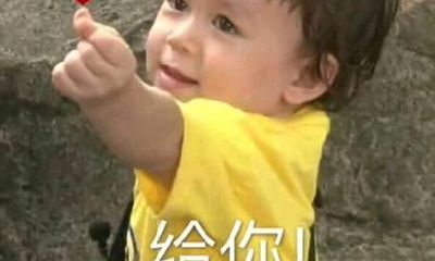 生肖最好姻缘配对 属相最合适的配婚