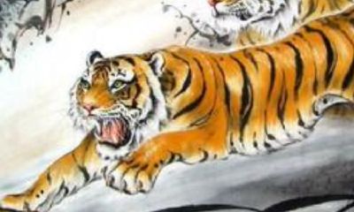 这3个属相，虎父无犬子，生的小孩既聪慧又有大前途