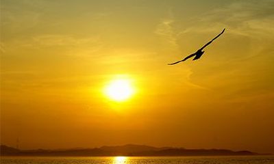 男人最富贵的出生时辰，男人什么时辰出生命苦？