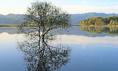 女孩最好的出生时辰，女人几月生是孤寡命？