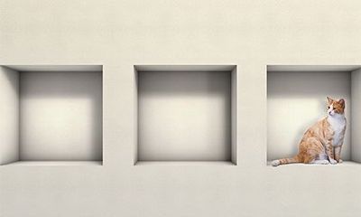 八字中的贵人怎么查？命带什么贵人最好？