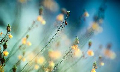 农历2022虎年七月二十八日子怎么样？理发如何？