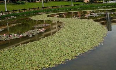 搞清楚艮卦是怎么造就的，就把握了周易的大门的锁匙