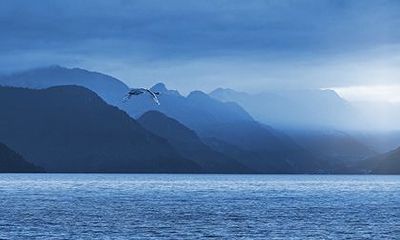 甲申日生于各月分析，甲申日出生月份看富贵